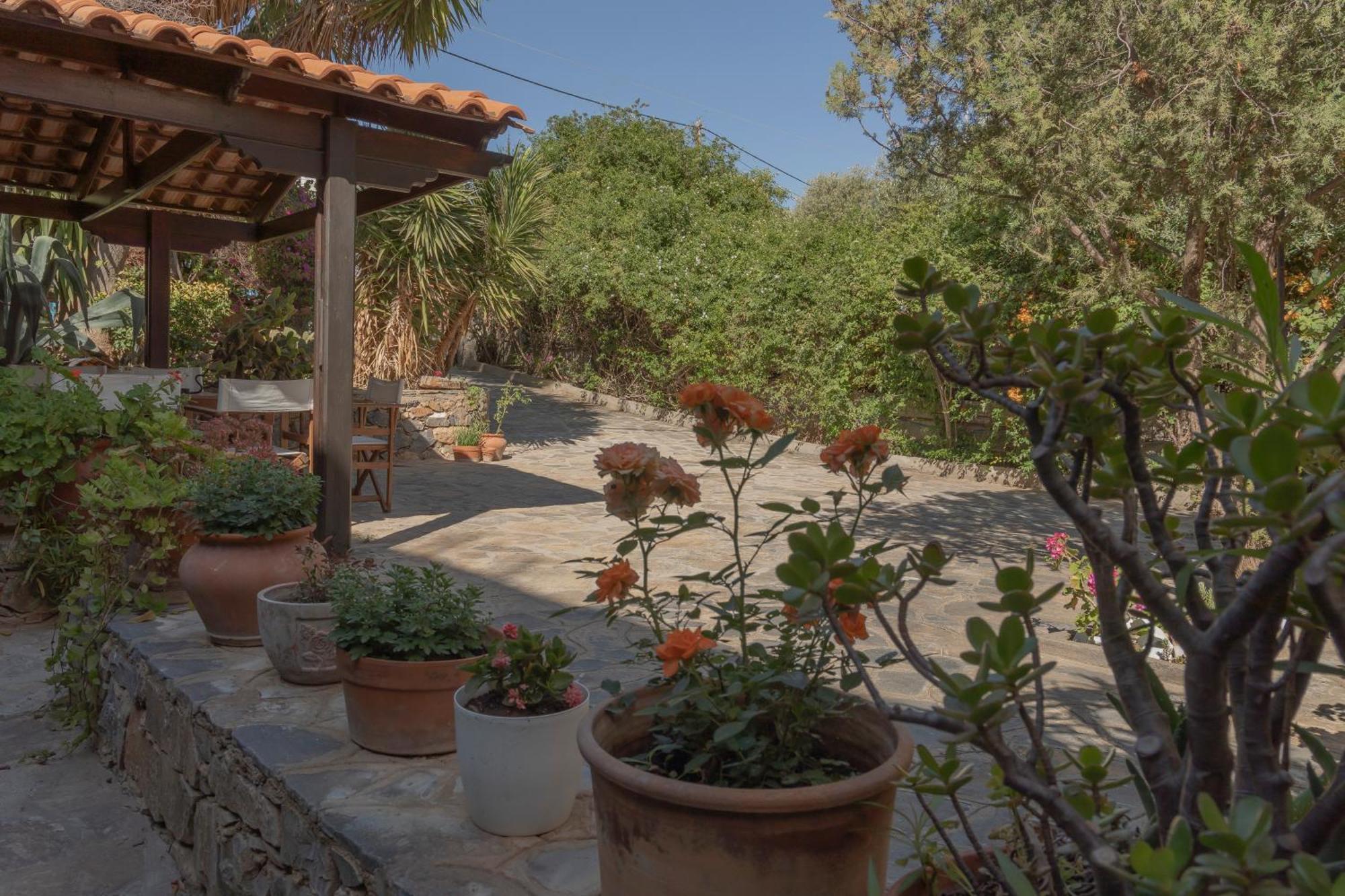Private Pet Friendly Villa Agios Nikolaos Exterior foto