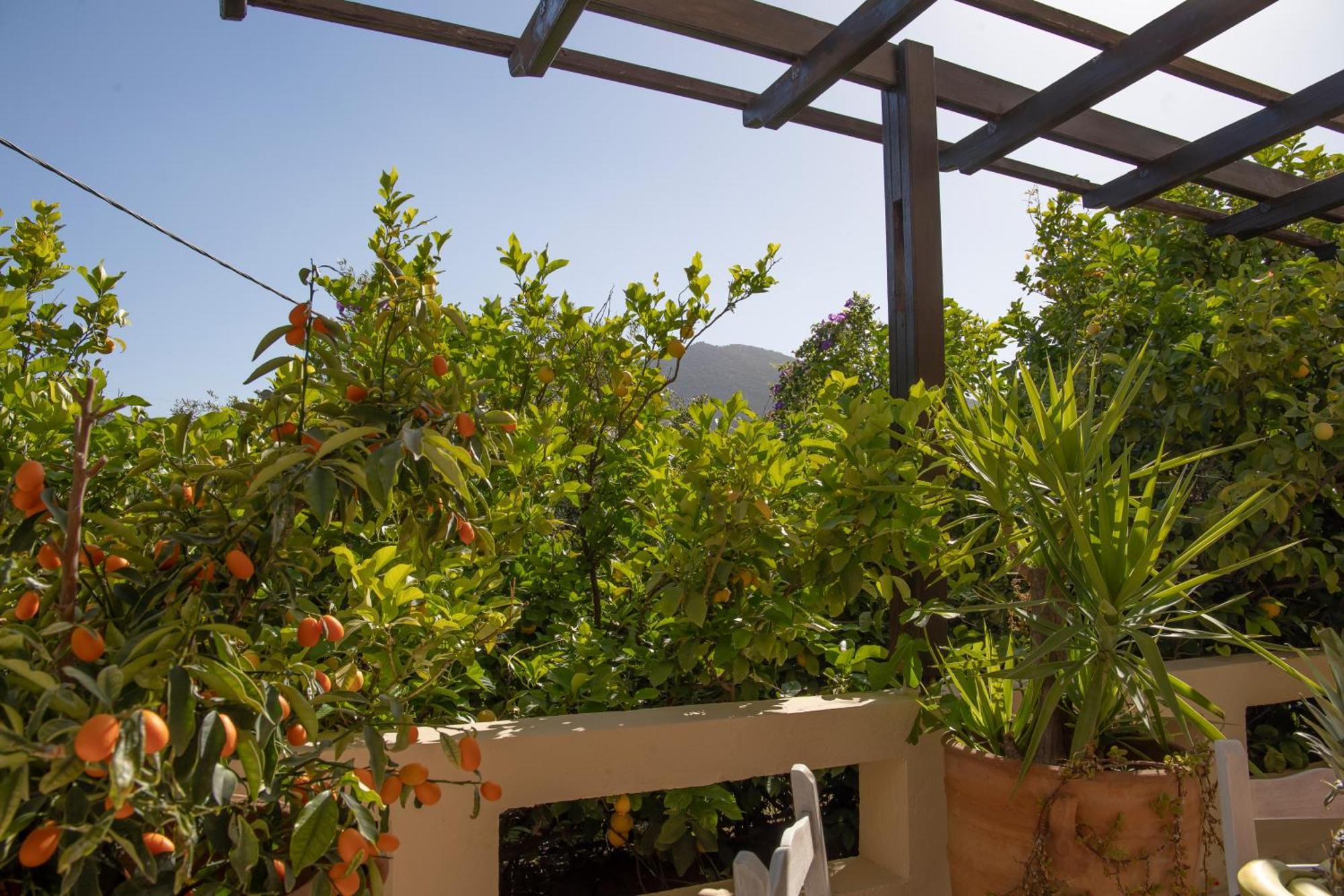 Private Pet Friendly Villa Agios Nikolaos Exterior foto